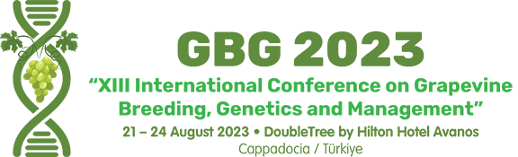GBG 2023